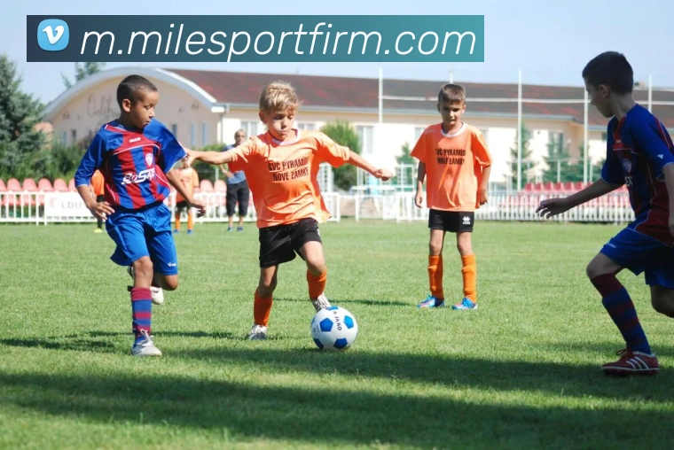 App Interface Preview